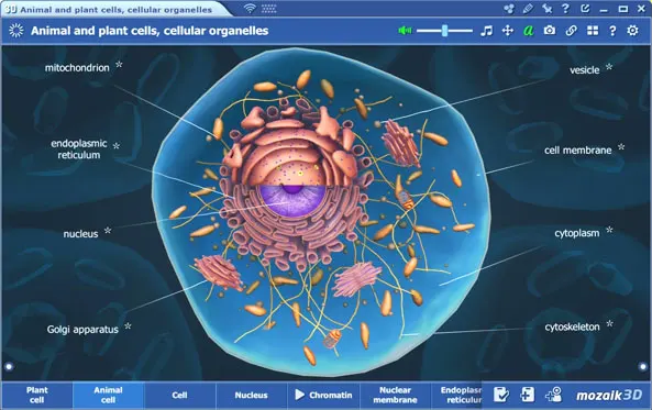 Các giải pháp giáo dục kỹ thuật số sáng tạo