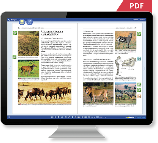 PDF hoặc HTML
