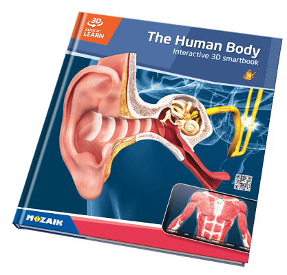 20 quyển sách với 800 cảnh 3D