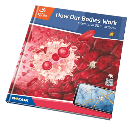 20 quyển sách với 800 cảnh 3D