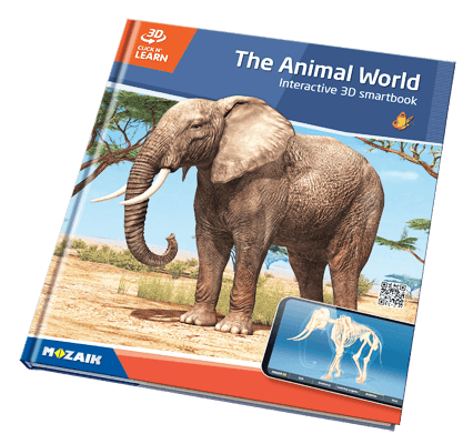 20 quyển sách với 800 cảnh 3D