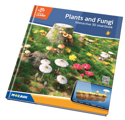 20 quyển sách với 800 cảnh 3D