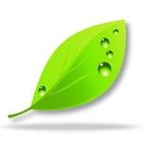Động vật hoang dã