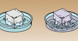 Đường dễ tan trong nước ấm hơn nước lạnh