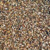 Trầm tích phù sa