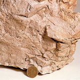 Dolomit là tên một loại đá trầm tích