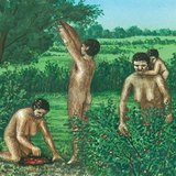 Người cổ xưa, tụ tập