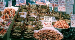 Hải sản là nguồn thực phẩm quan trọng