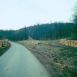 Gỗ được lưu trữ ở ven đường