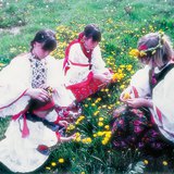 Girls playing with common dandelion