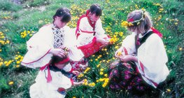 Cô gái chơi với bồ công anh thông thường