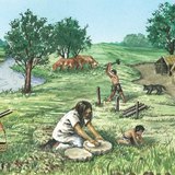 Chăn nuôi thời xưa