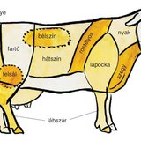 A szarvasmarha bontási részei