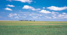 Đồng bằng Hungary