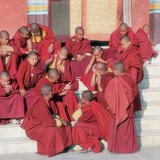 Tibetan Buddhist monks