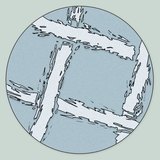 Hình ảnh hiển vi của gạc