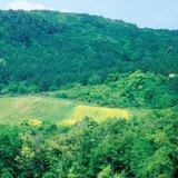 Cánh đồng nuôi động vật hoang dã