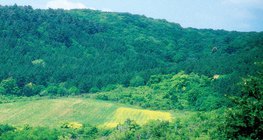 Cánh đồng nuôi động vật hoang dã