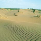 Đồi cát với gợn gió