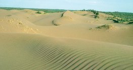 Đồi cát với gợn gió