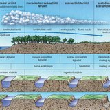 A természetföldrajzi jellemzők változása a valódi mérsékelt övben