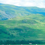 Chăn thả cừu ở Anh