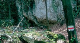 Đường mòn rực