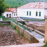 Mùa xuân trên núi