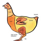 A tyúk bontási részei