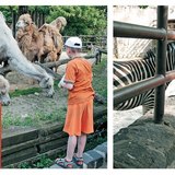 Đi dạo trong sở thú