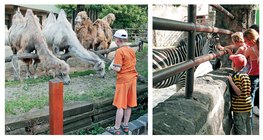 Đi dạo trong sở thú