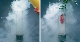 Không khí lỏng đóng băng hoa để dễ dàng phá vỡ