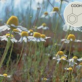 Dẫn xuất axit salicylic có tác dụng y tế tích cực