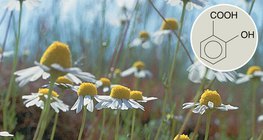 Dẫn xuất axit salicylic có tác dụng y tế tích cực