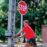 Màu sắc tươi sáng của biển báo giao thông đóng vai trò là một cảnh báo