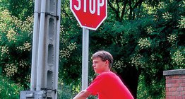 Màu sắc tươi sáng của biển báo giao thông đóng vai trò là một cảnh báo