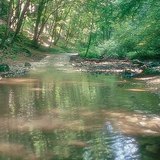 Suối Cuha ở Bakony (Hungary)
