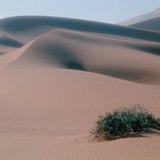 Cồn cát ở sa mạc Sahara
