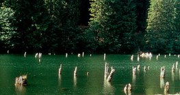 Hồ Red ở Transylvania được hình thành do lở đất