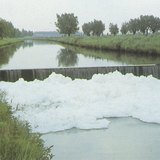 ô nhiễm nguồn nước