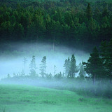 Bình minh mờ ảo