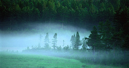 Bình minh mờ ảo