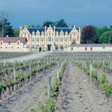 Vườn nho ở Bordeaux, quê hương của rượu vang đỏ nổi tiếng nhất của Pháp