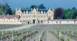 Vườn nho ở Bordeaux, quê hương của rượu vang đỏ nổi tiếng nhất của Pháp