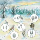 Động vật trong tuyết