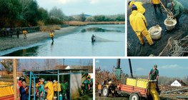 Làm việc xung quanh ao cá chép