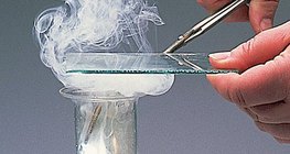 Phản ứng của magiê với clo