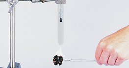 Examining the energy density of a walnut