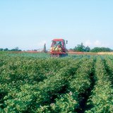 Đồng bằng là lĩnh vực quan trọng nhất của nông nghiệp