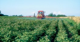 Đồng bằng là lĩnh vực quan trọng nhất của nông nghiệp